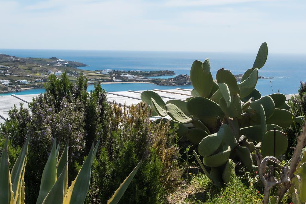 Psarou Summer Villas 外观 照片